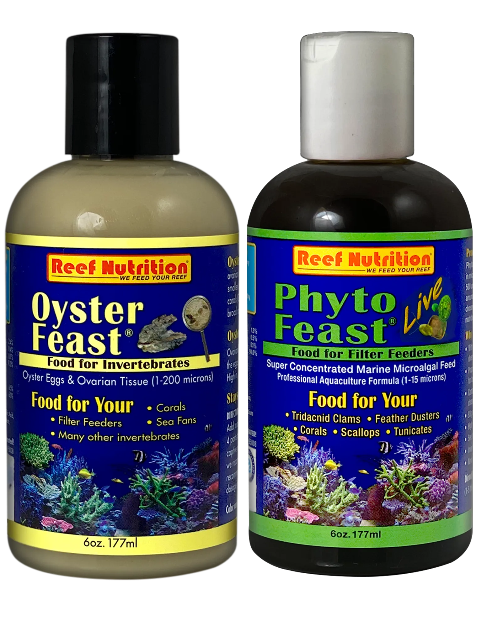 CORAL INVERTEBRATE LIVE PACK (S)