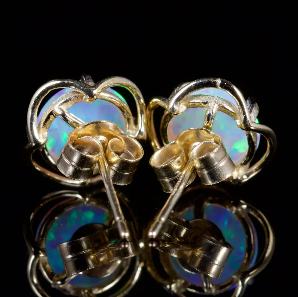 Opal Stud Earrings 9Ct Gold Studs