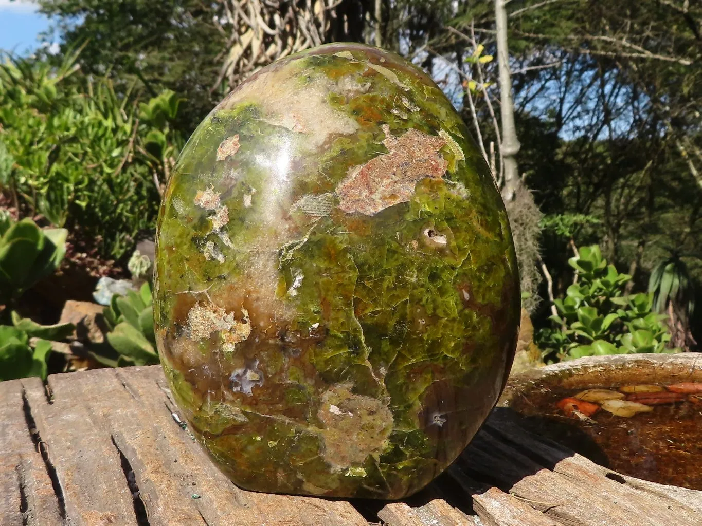 Polished Large Green Opal Standing Free Form  x 1 From Madagascar