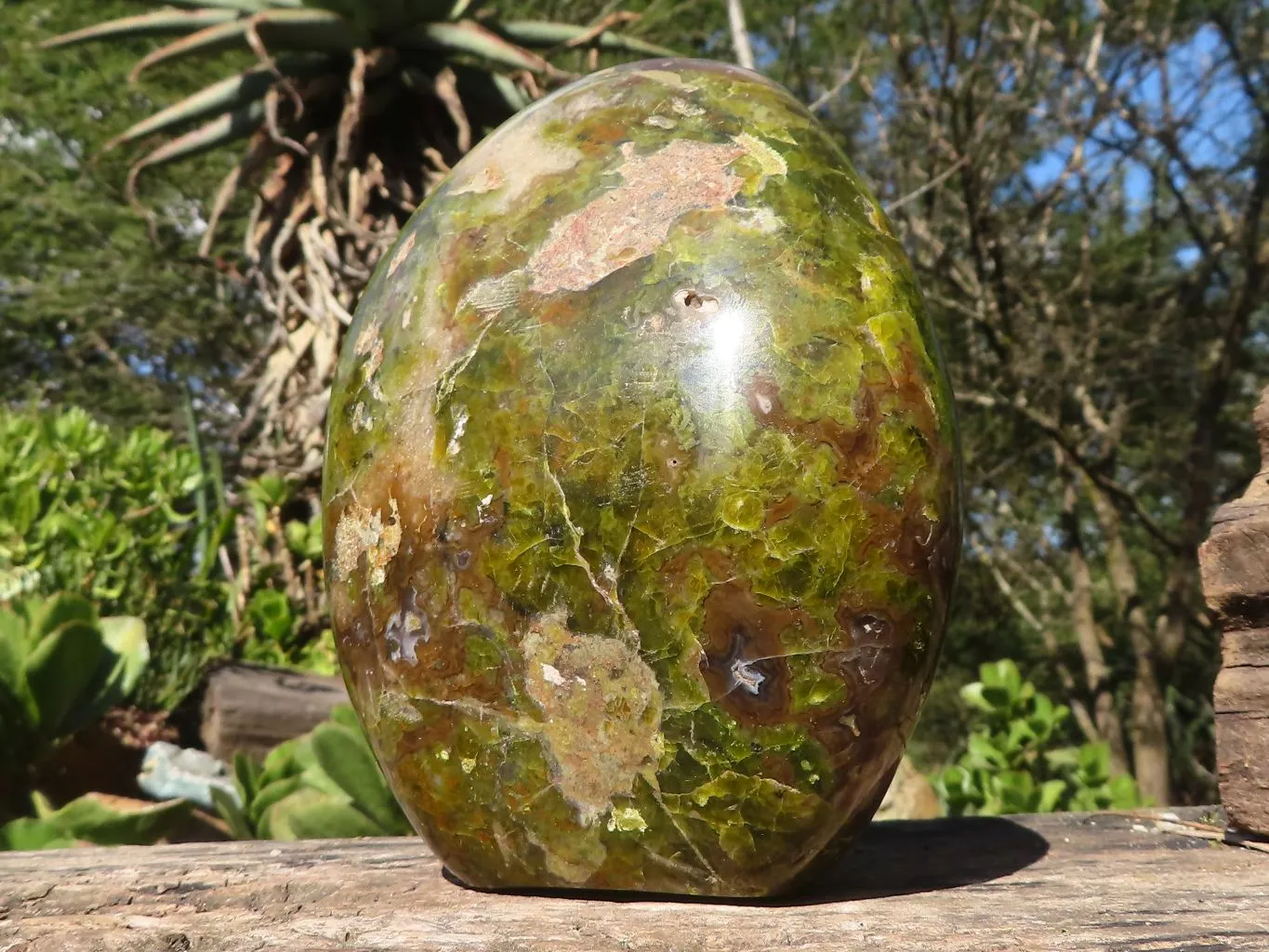 Polished Large Green Opal Standing Free Form  x 1 From Madagascar
